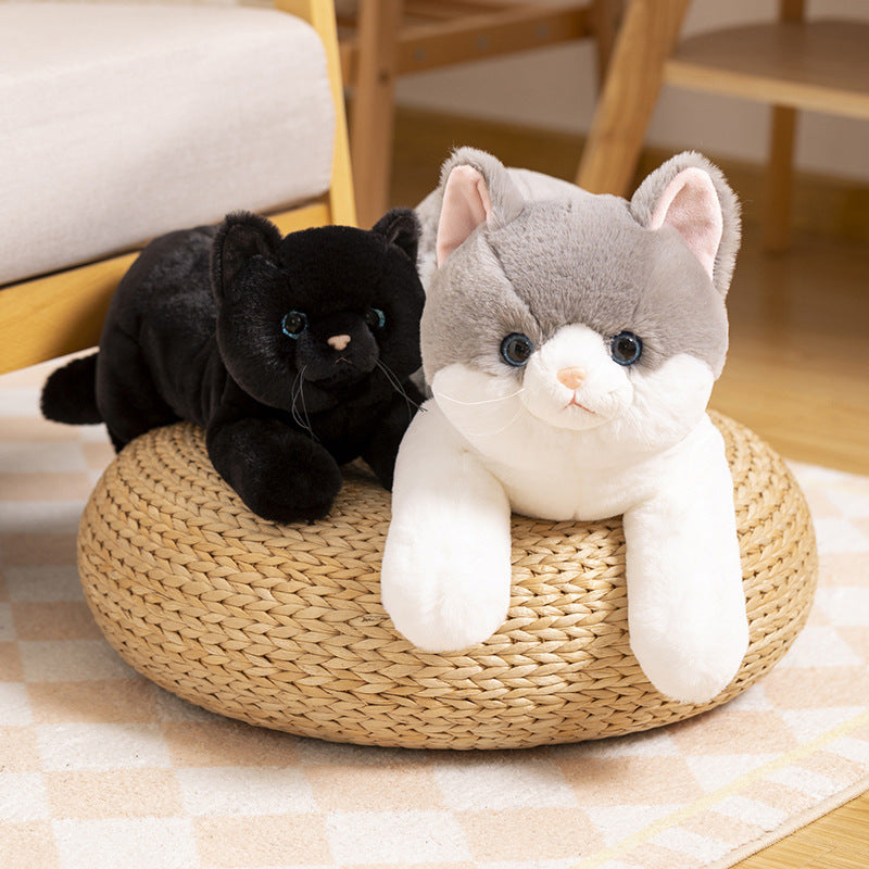 Kitten Plush Toy Home Sofa Car Decoration Doll Children's Companion Pillow Gift Cat Doll