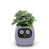 USB rechargeable automatic water-absorbing flowerpot
