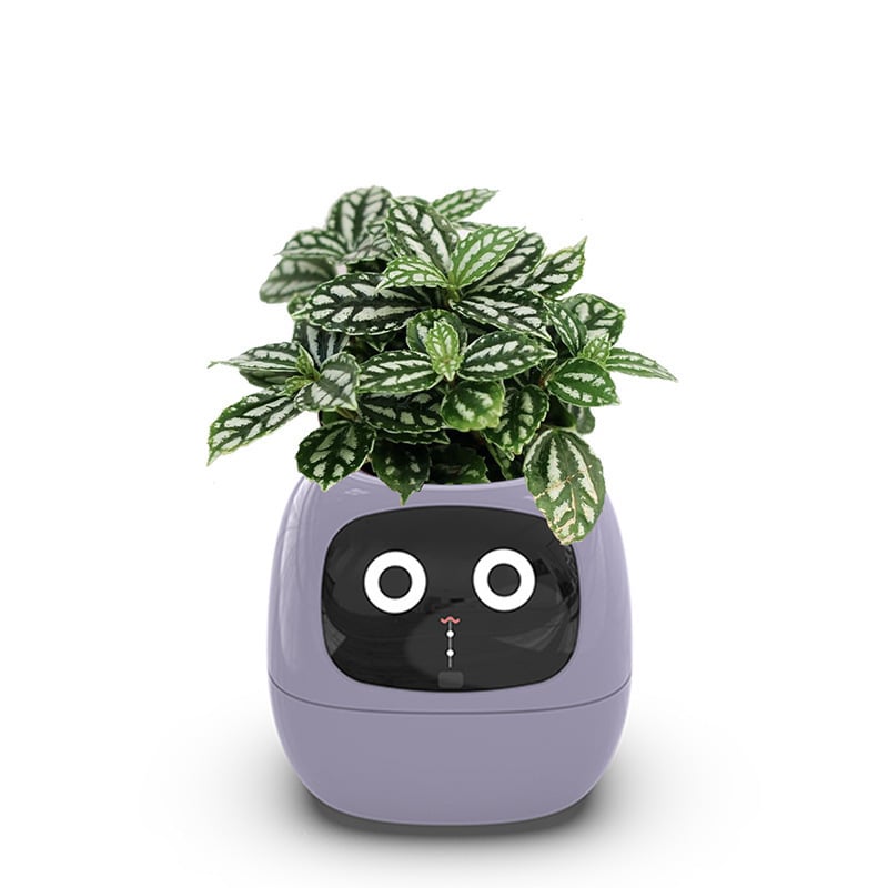 USB rechargeable automatic water-absorbing flowerpot