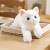 Kitten Plush Toy Home Sofa Car Decoration Doll Children's Companion Pillow Gift Cat Doll