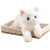 Kitten Plush Toy Home Sofa Car Decoration Doll Children's Companion Pillow Gift Cat Doll