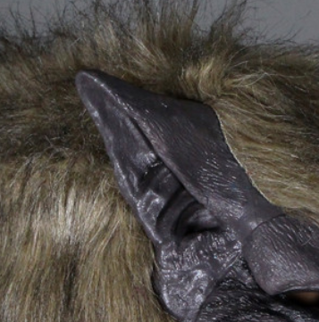 Werewolf Costume