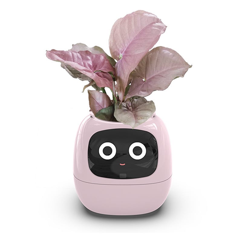 USB rechargeable automatic water-absorbing flowerpot