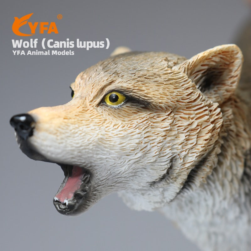 Resin Wolf Model