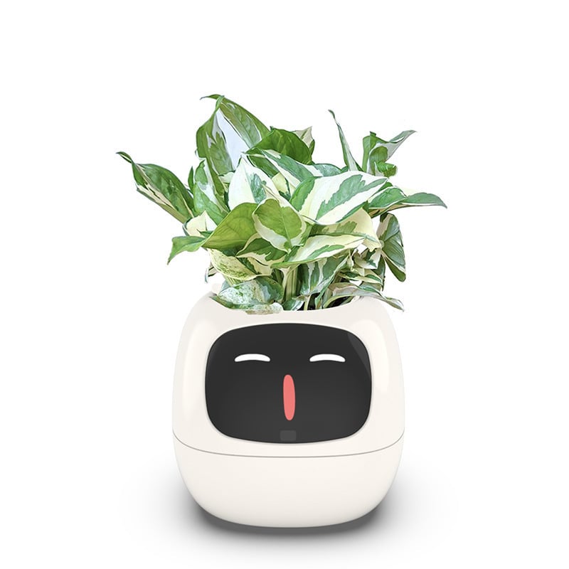 USB rechargeable automatic water-absorbing flowerpot