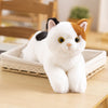 Kitten Plush Toy Home Sofa Car Decoration Doll Children's Companion Pillow Gift Cat Doll