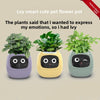 USB rechargeable automatic water-absorbing flowerpot