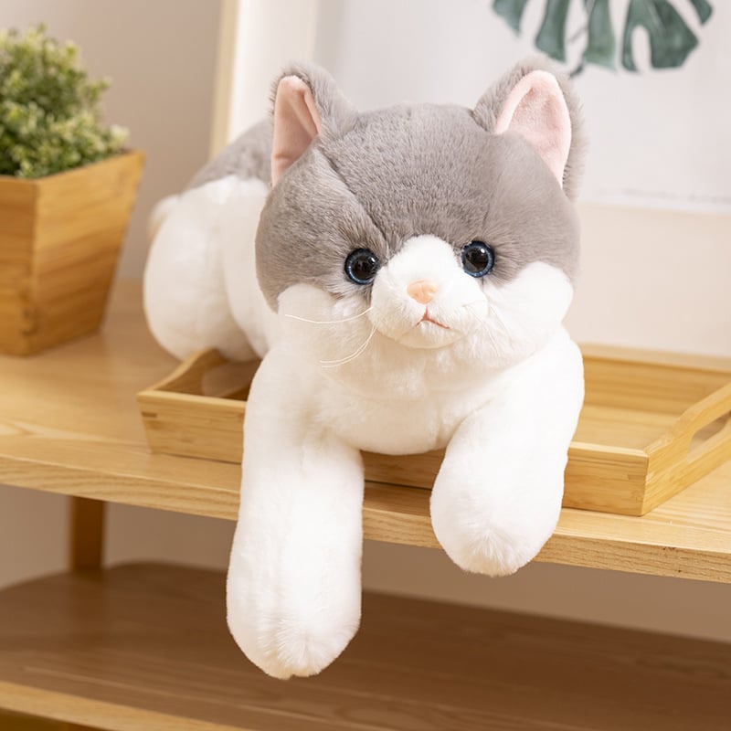 Kitten Plush Toy Home Sofa Car Decoration Doll Children's Companion Pillow Gift Cat Doll