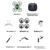 telecontrolled aircraft