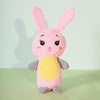Plush Bite-Resistant Sound Pet Toys for Dogs and Cats