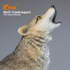 Resin Wolf Model