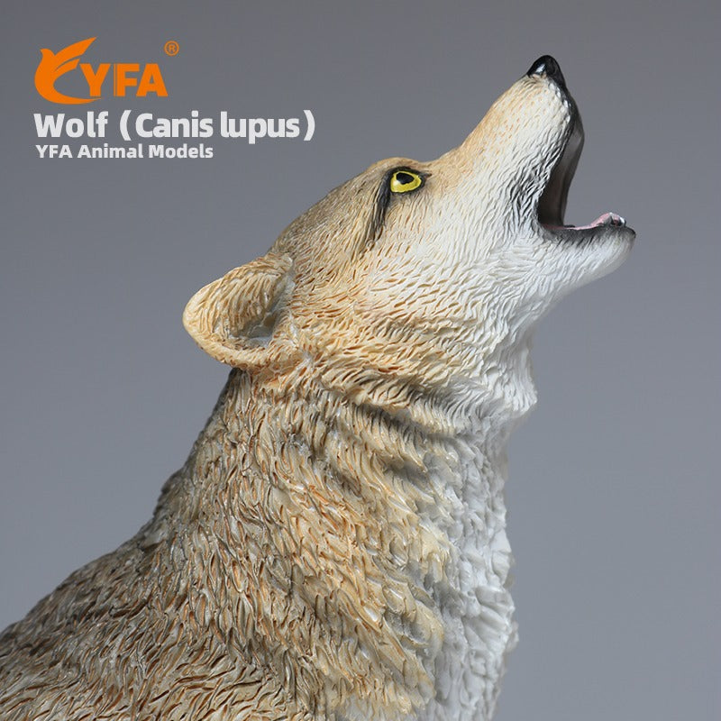 Resin Wolf Model