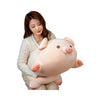 Cute Pig Plush Toy Pig Doll