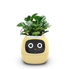 USB rechargeable automatic water-absorbing flowerpot