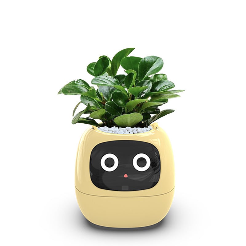 USB rechargeable automatic water-absorbing flowerpot