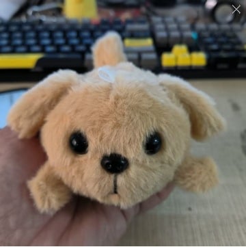 Little White Dog Plush Doll Squeaking Doll Children's Plush Toy Gift for Girlfriend