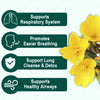 Cistus Incanus Herbal Tea Bags