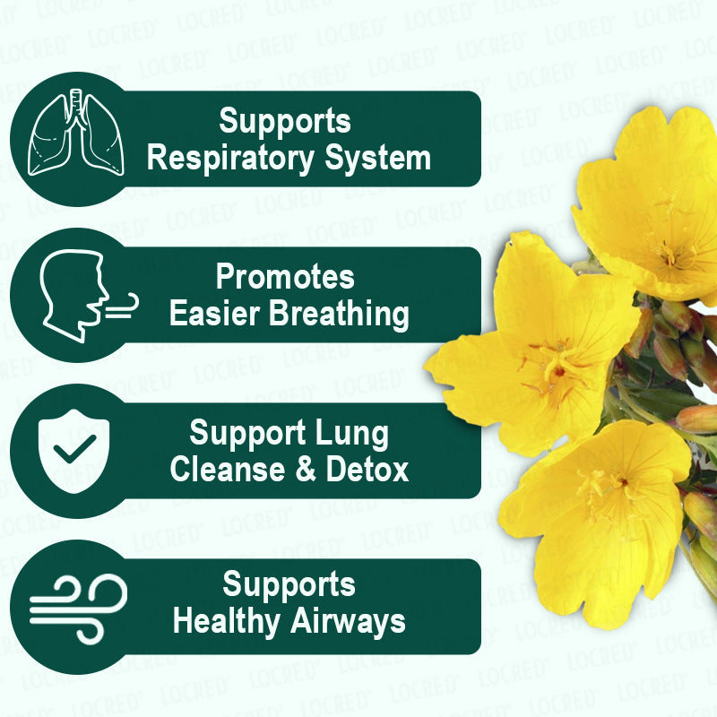 Cistus Incanus Herbal Tea Bags